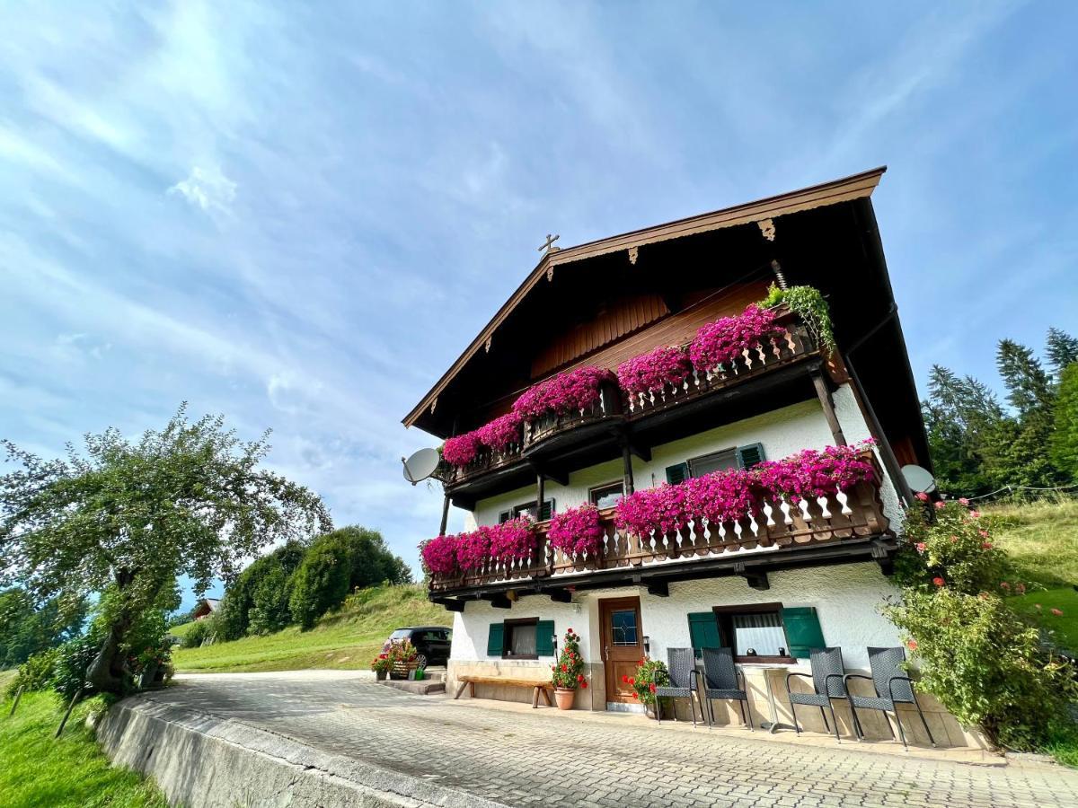 Appartement Sunnseit - Kitzbueheler Alpen Sankt Johann in Tirol Exteriör bild