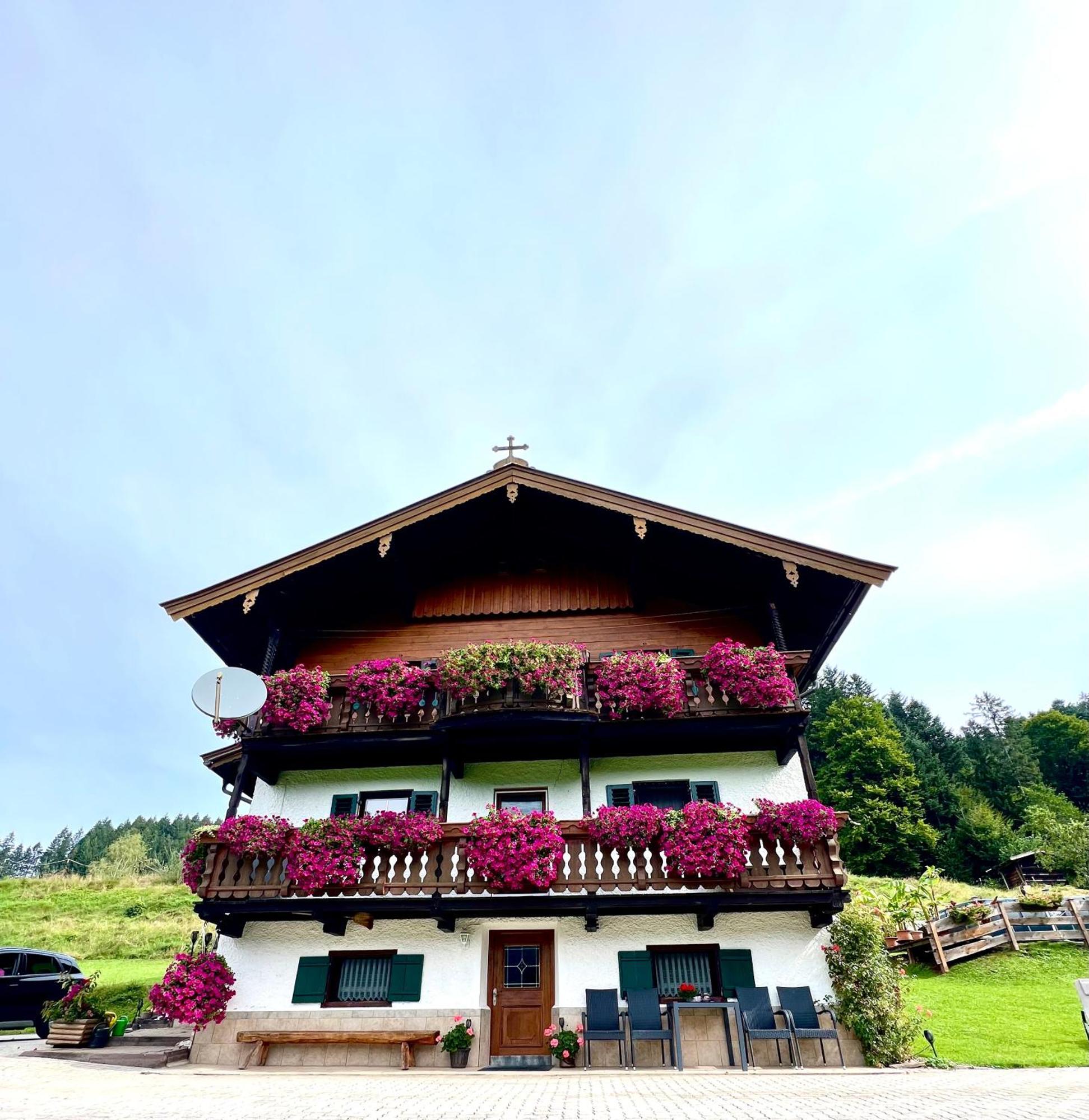 Appartement Sunnseit - Kitzbueheler Alpen Sankt Johann in Tirol Exteriör bild